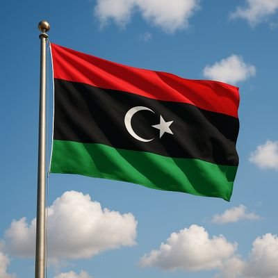 alturkiasil's profile picture. Failure is the first step on the road to success, as long as you don't stop trying.