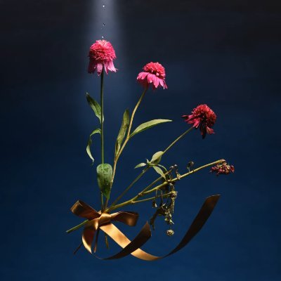 numuber0's profile picture. 