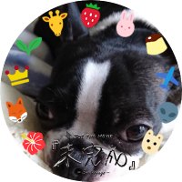 chamikko (@1107chamikko) 's Twitter Profile