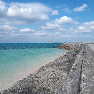 dzj00227's profile picture. 株：ローリスク投資(PO、IPO、TOB、分売他)に加え、短期～中長期もいろいろやってます。
マラソン：目指せサブ○．５！