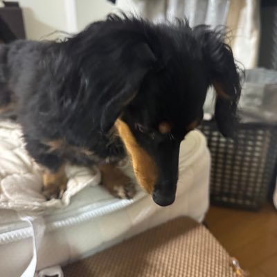 yu_e_x_i_l_e's profile picture. 