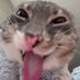 Jr. (@_walcir) Twitter profile photo Jr. (@_walcir) Twitter profile photo