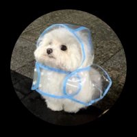 その (@clslqlj5hg206ln) 's Twitter Profile