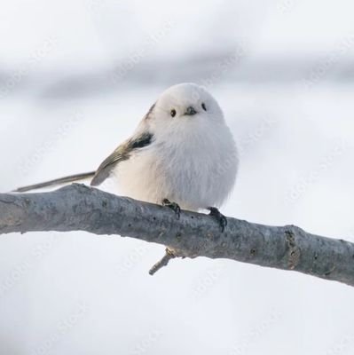 iTFuUdpl6O30622's profile picture. 趣味の連絡用。