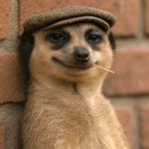 UrbiPce's profile picture. 