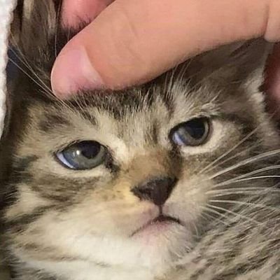 .さんのプロフィール画像