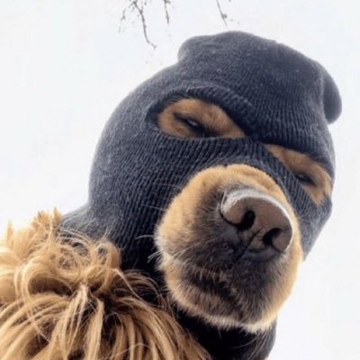 Ginter17848642's profile picture. 