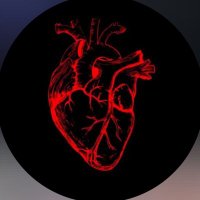 Bio Life (@biolifex) 's Twitter Profile Photo Bio Life (@biolifex) 's Twitter Profile Photo