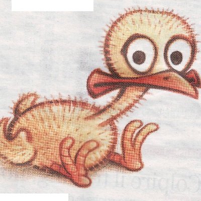 LDrusetta's profile picture. 