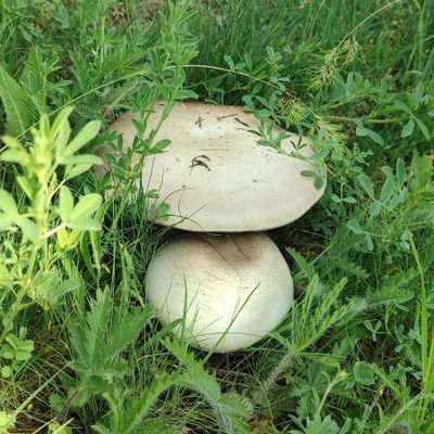 eemmrreeozturk's profile picture. tester