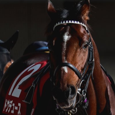 tyYPb5UEyMmJvwI's profile picture. 