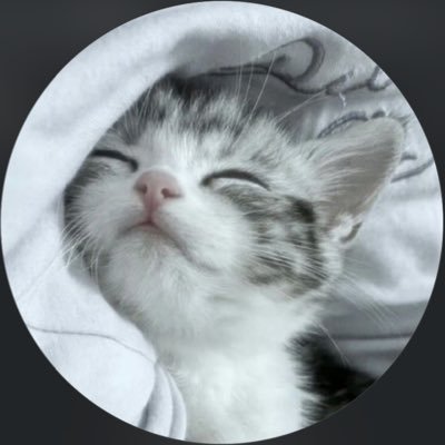 まみむめさんのプロフィール画像