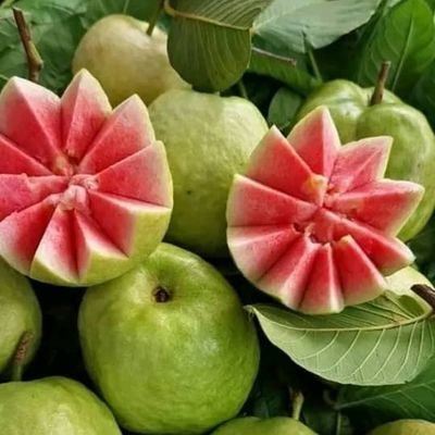 jo308777's profile picture. 