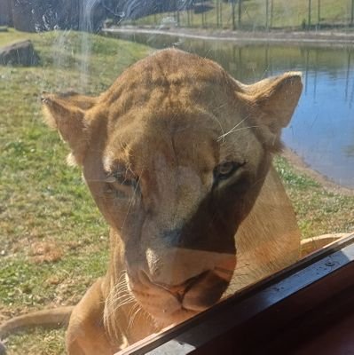 atakgosana's profile picture. I am
