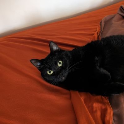 BertDerven's profile picture. 