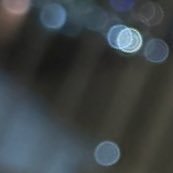 Community_EBT's profile picture. l