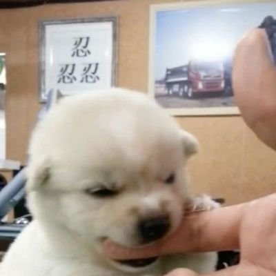 아가리파さんのプロフィール画像