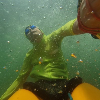 rolly_jp's profile picture. a.k.a rolly / 沈没船長 / just a sinker / ♪ 早見沙織 上田麗奈 ClariS / マケイン（天愛星、志喜屋） / 🚙4AAMH55S /