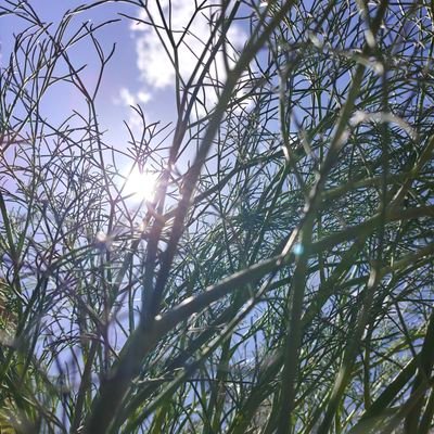 Nashenas1880976's profile picture. فالو کنی =منم فالو میکنم😂(میدونم با کلاسش میشه بک)