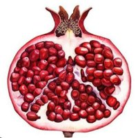 🇹🇷 borsausd 🇹🇷 (@borsausd) 's Twitter Profile Photo 🇹🇷 borsausd 🇹🇷 (@borsausd) 's Twitter Profile Photo