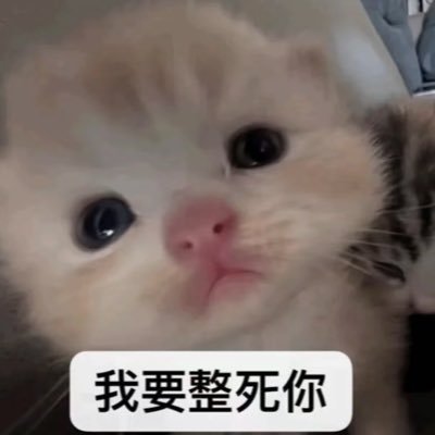 LeeJiwoo0817's profile picture. 