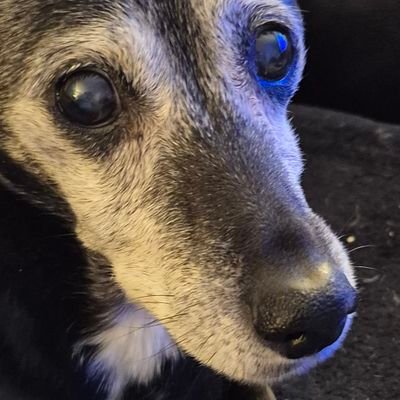 BurnsMburns61's profile picture. 