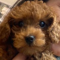 Binnur (@binnur2284) Twitter profile photo