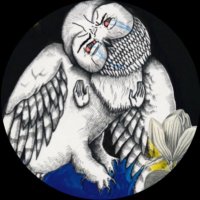 nolan (@hiskulstupdi) 's Twitter Profile