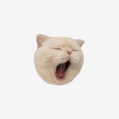 ♡⟡. @AORINGOHUZIN ┊11/9 BABEL no TOH🦅✨️