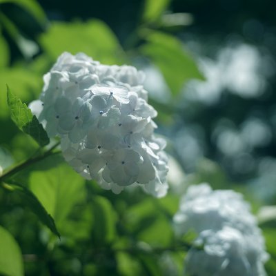 supernepinepi's profile picture. 自称写真家 #大分フォトhttps://t.co/O7GV42gZoE