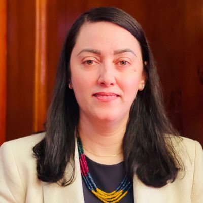 Former Diplomat, Fulbrighter, King’s College alumni, RCDS alumni, former fellow researcher at RWI, Human /women Rights advocate