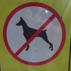 Follow back to unite against dog mafia!
