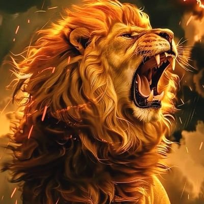 OnyemaLiger's profile picture. Business guy and a student