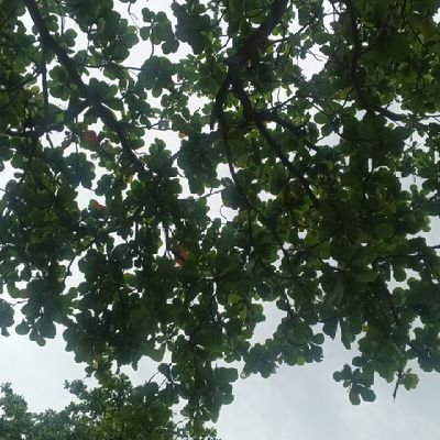 Praise63528196's profile picture. expectations ✌️