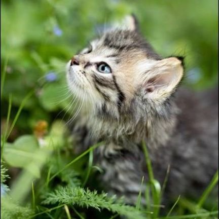 bs4QmuFq0Z70731's profile picture. 🎭️🍦など色々