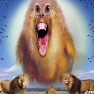 Taunt_1252's profile picture. Name: Jay
Age:25
Bday: June 24
Sexuality: gay
Heh…idk how to link🤑🤑🤑🤑
Anyways have a good day/night