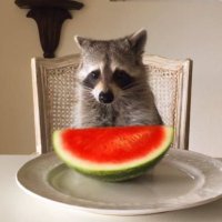 도파 (@dopa__m1ne) 's Twitter Profile Photo