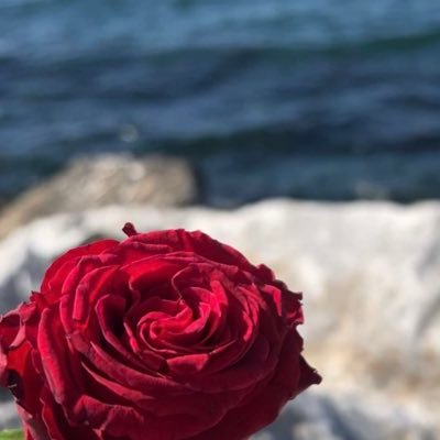 I’m looking forward to see you ☺️من الفيحاء..يازينها ويازين من سكن فيها