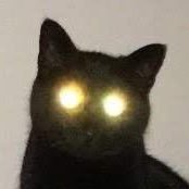 chaararan's profile picture. 내가 사랑한 동그라미