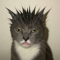 JCE (@w1wwjce) 's Twitter Profile