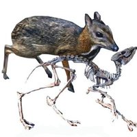 Tortured Artist (@crabatronics) 's Twitter Profile