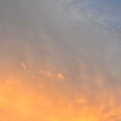 madasecas_'s profile picture. 