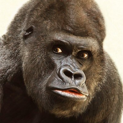 酔京さんのプロフィール画像