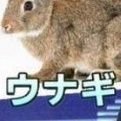 放送倫理局Pさんのプロフィール画像