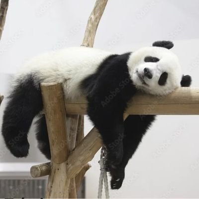 6EMD6tFk1f19636's profile picture. パチプロ組織エクセルジャパンにて班長をやっています！新規班員さん募集していますので、興味のある方は気軽にご連絡ください！