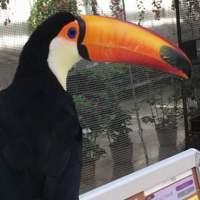 inst_admn's profile picture. よくアイコンの動物が変わる大学職員。多感な年ごろです