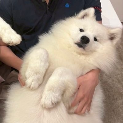エンジニアです!前向きに働ける人を増やす💪 Qiita→https://t.co/fZlubMHmvW トレーニー🏋️ セールステック 発言は個人のものです