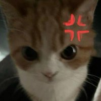 ゆゆゆ︎︎♡̴⟡.˚ (@yn_s2_o0) 's Twitter Profile