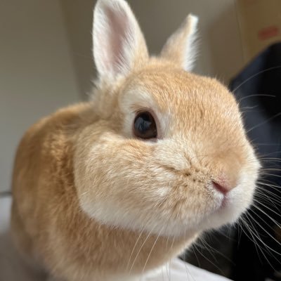 mc012011's profile picture. パチプロ組織エクセルジャパンにて班長をやっています！新規班員さん募集中ですのでご興味のある方、お気軽にご連絡ください🙇‍♂️