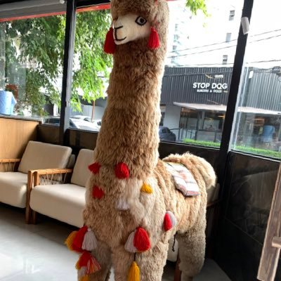 andersondasilvx's profile picture. 